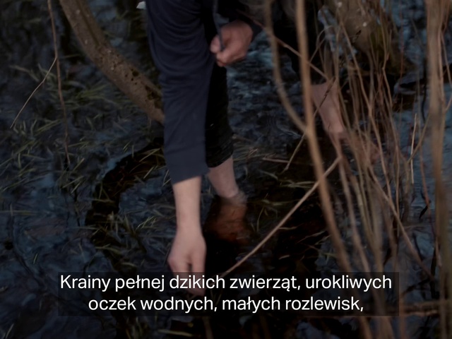 Video Reference: Leg, People in nature, Organism, Gesture, Thigh, Grass, Wood, Terrestrial plant, Adaptation, Plant
