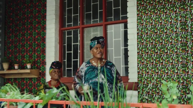 Video Reference: Smile, Window, Plant, Textile, Sunglasses, Hat, Happy, Event, Fun, Leisure