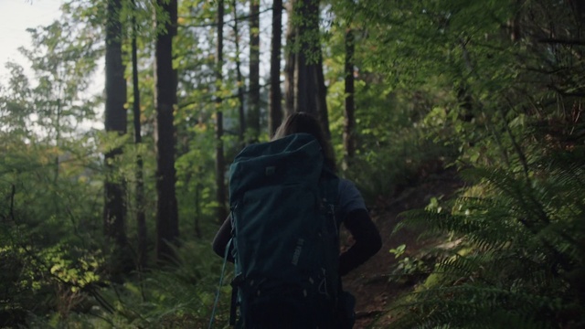Video Reference: Plant, Tree, Wood, Natural landscape, Terrestrial plant, Trunk, Landscape, Hat, Forest, Grass
