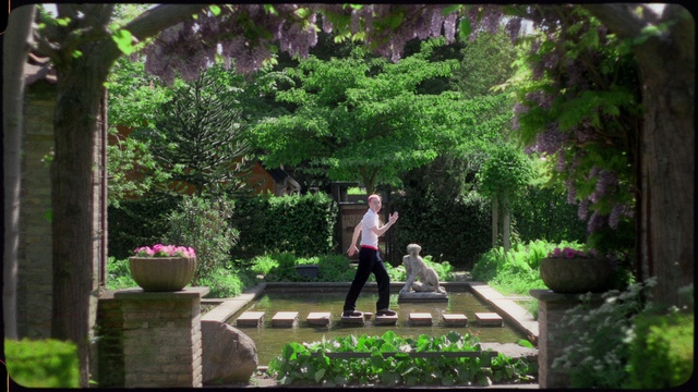 Video Reference: Plant, People in nature, Green, Leaf, Nature, Lighting, Vegetation, Terrestrial plant, Grass, Tree