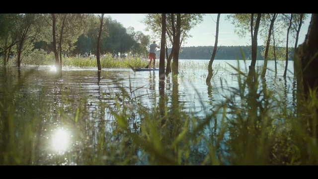 Video Reference: Water, Plant, Water resources, Sky, Light, Natural landscape, Leaf, Branch, Tree, Wood