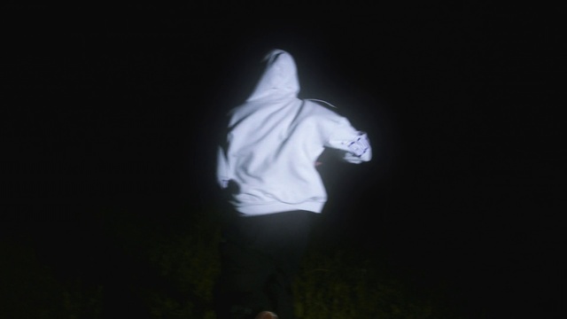 Video Reference: Plant, Flash photography, Sleeve, Entertainment, Performing arts, Jacket, T-shirt, Recreation, Tree, Event