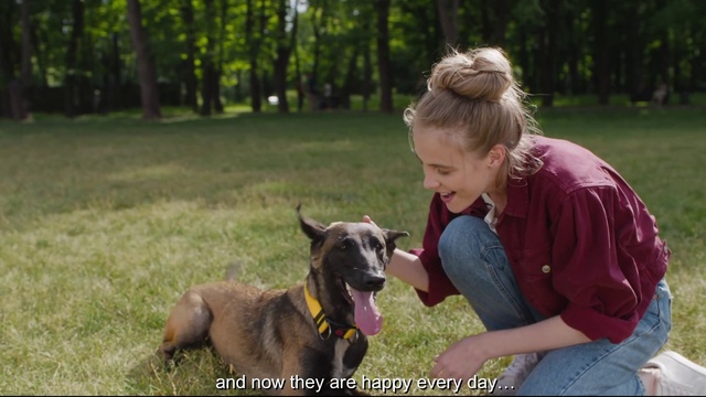 Video Reference: Dog, Dog breed, Plant, Carnivore, Collar, Tree, Smile, Grass, Happy, Fawn