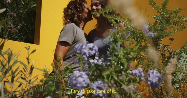 Video Reference: Flower, Plant, Leaf, Natural environment, Smile, Sunglasses, Grass, Yellow, Happy, People in nature