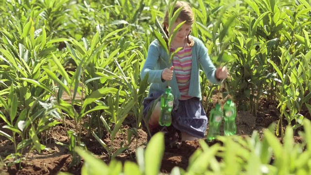 Video Reference: Plant, Plant community, People in nature, Terrestrial plant, Vegetation, Farmer, Grass, Agriculture, Groundcover, Shrub