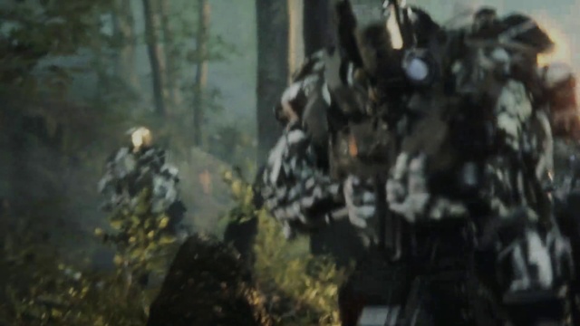 Video Reference: Natural environment, Sunlight, Plant, Tree, Event, Forest, Wilderness, Darkness, Personal protective equipment, Recreation