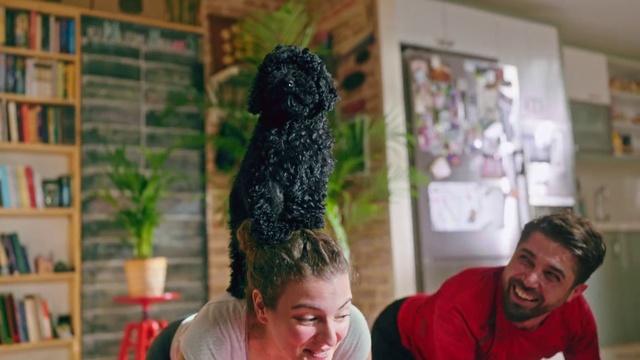 Video Reference: Smile, Shirt, Plant, Happy, T-shirt, Leisure, Houseplant, Black hair, Event, Fun