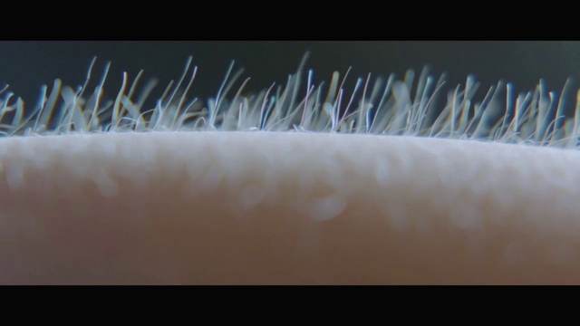 Video Reference: Natural material, Font, Electric blue, Art, Close-up, Macro photography, Event, Rectangle, Darkness, Metal