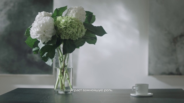 Video Reference: Flower, Vase, Drinkware, Petal, Lighting, Flower Arranging, Artifact, Artificial flower, Tableware, Serveware