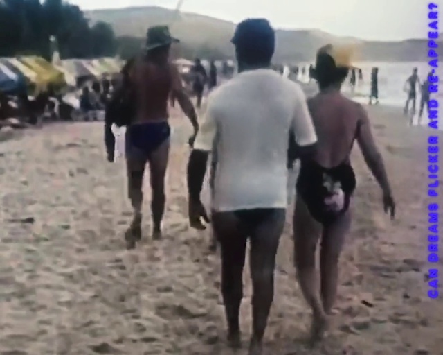 Video Reference: Gesture, Travel, Landscape, Leisure, Fun, Shorts, Event, Sand, Recreation, Sky