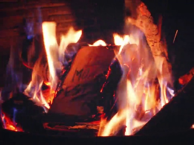 Video Reference: Flame, Fire, Bonfire, Heat, Charcoal, Fireplace, Gas, Event, Campfire, Ash