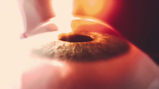 Video Reference: Lip, Hand, Eye, Eyebrow, Wax, Eyelash, Human body, Neck, Flash photography, Plant