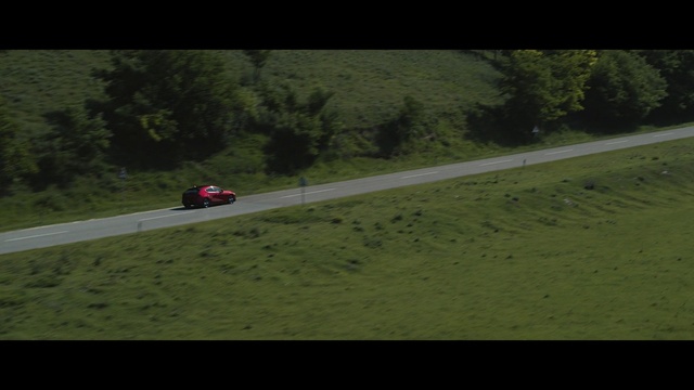 Video Reference: Plant, Tire, Vehicle, Car, Wheel, Tree, Motor vehicle, Land lot, Asphalt, Kit car