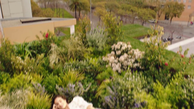 Video Reference: Plant, Plant community, Leaf, Botany, Grass, Vegetation, Flower, Tree, Natural landscape, Groundcover