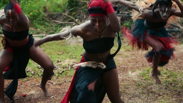 Video Reference: Plant, Leisure, Recreation, Hat, Dance, Happy, Entertainment, Thigh, Fun, Tribe