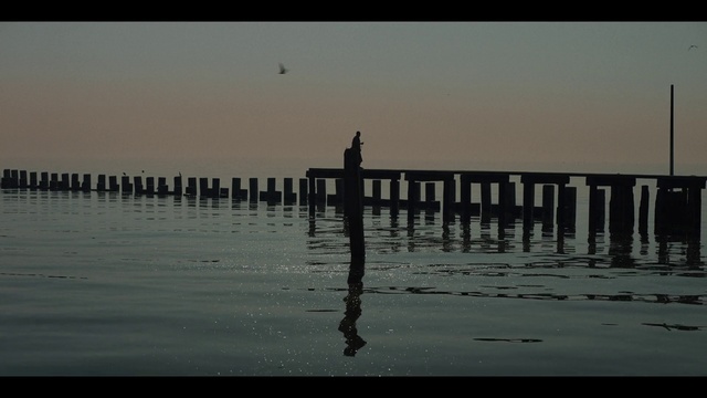 Video Reference: Water, Sky, Vertebrate, Bird, Fluid, Dusk, Atmospheric phenomenon, Horizon, Lake, Liquid