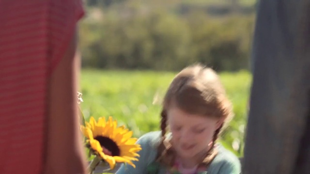 Video Reference: Flower, Eye, Vertebrate, Smile, Petal, People in nature, Plant, Leaf, Sunlight, Happy