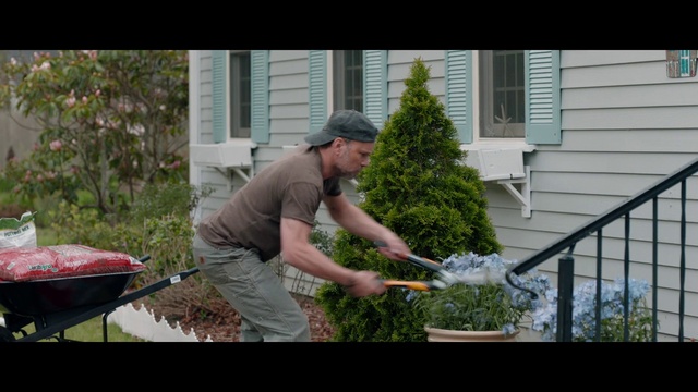 Video Reference: Plant, Window, Tree, Wheelbarrow, Building, Grass, Houseplant, Cooking, Shrub, House