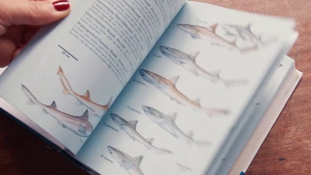 Video Reference: Hand, Book, Publication, Finger, Font, Recipe, Material property, Paper, Nail, Writing