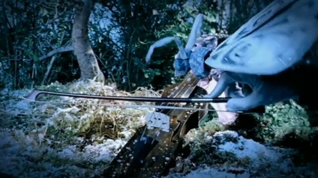 Video Reference: Plant, Tree, Vehicle, Train, Snow, Motor vehicle, Aircraft, Automotive tire, Electric blue, Helmet