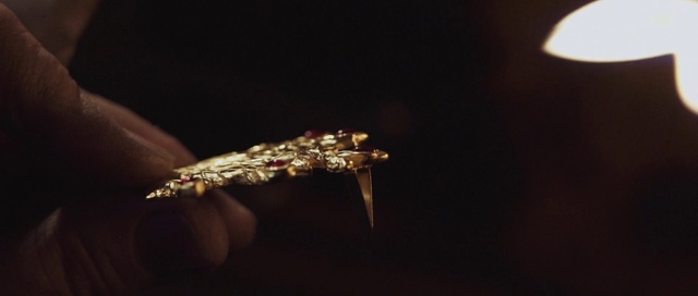 Video Reference: Insect, Body jewelry, Flash photography, Natural material, Twig, Lamp, Wedding ceremony supply, Terrestrial plant, Jewellery, Event