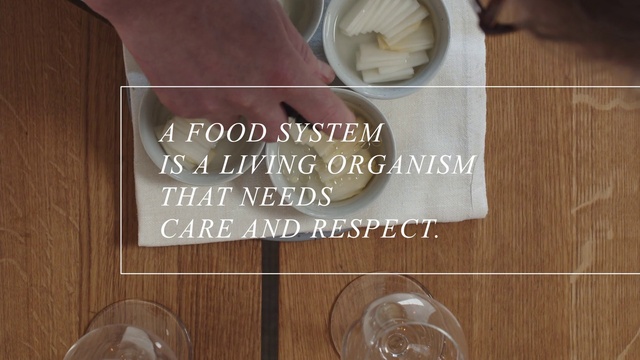 Video Reference: Food, Tableware, Table, Handwriting, Wood, Recipe, Ingredient, Font, Dishware, Serveware