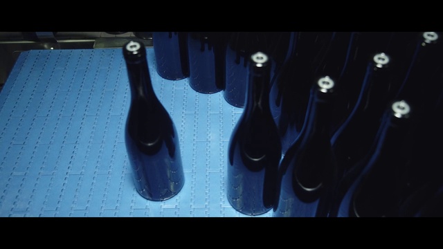 Video Reference: Bottle, Tableware, Drinkware, Glass bottle, Barware, Drink, Alcoholic beverage, Line, Tints and shades, Wine bottle