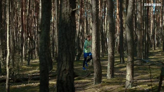 Video Reference: Plant, Ecoregion, People in nature, Tree, Natural landscape, Branch, Terrestrial plant, Wood, Trunk, Deciduous