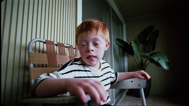 Video Reference: Plant, Chair, Wood, Toddler, T-shirt, Baby, Sitting, Comfort, Flash photography, Baby & toddler clothing