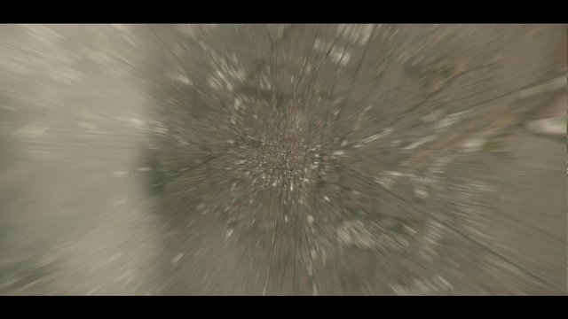 Video Reference: Sky, Wood, Tree, Plant, Flash photography, Tints and shades, Road surface, Symmetry, Pattern, Darkness