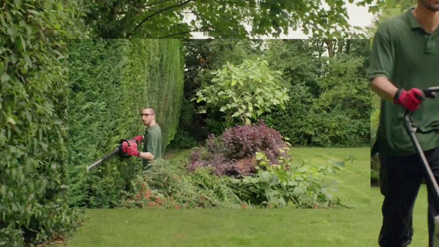 Video Reference: Plant, Trousers, People in nature, Botany, Land lot, Tree, Natural landscape, Woody plant, Grass, Recreation