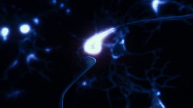 Video Reference: Atmosphere, Sky, Organism, Astronomical object, Gas, Electric blue, Space, Lens flare, Science, Darkness