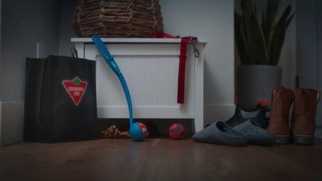 Video Reference: Wood, Grey, Bag, Houseplant, Flooring, Plant, Foot, Hardwood, Luggage and bags, Electric blue