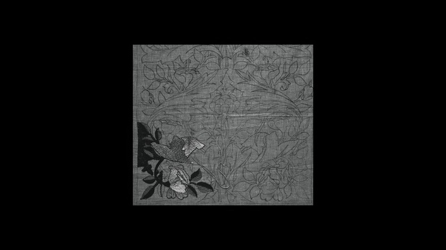 Video Reference: Twig, Wood, Rectangle, Grey, Plant, Font, Tints and shades, Flash photography, Grass, Pattern