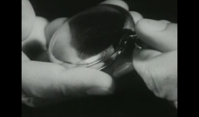 Video Reference: Eye, Leg, Human body, Jaw, Petal, Gesture, Flash photography, Finger, Comfort, Snout