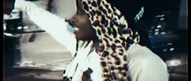 Video Reference: Eye, Jaw, Neck, Felidae, Giraffe, Terrestrial animal, Snout, Recreation, Whiskers, Electric blue