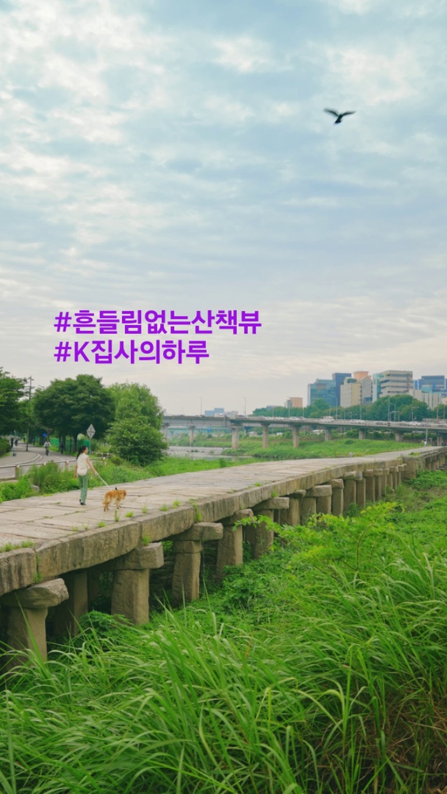 Video Reference: Cloud, Sky, Plant, Natural landscape, Vegetation, Tree, Grass, Morning, Landscape, Grassland