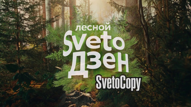 Video Reference: Plant community, Plant, Natural landscape, Natural environment, Wood, Branch, People in nature, Organism, Terrestrial plant, Vegetation