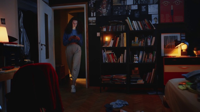 Video Reference: Furniture, Bookcase, Picture frame, Flash photography, Shelf, Wood, Publication, Floor, Flooring, Shelving