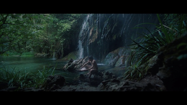 Video Reference: Water, Plant, Natural landscape, Waterfall, Terrestrial plant, Grass, Tree, Fluvial landforms of streams, Spring, Wood