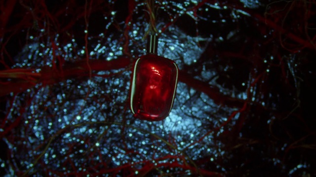 Video Reference: Automotive tail & brake light, Christmas ornament, Automotive lighting, Window, Motor vehicle, Traffic light, Plant, Headlamp, Automotive exterior, Automotive tire