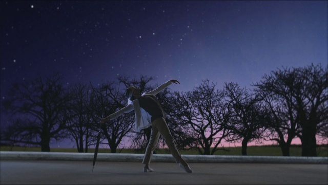 Video Reference: Sky, Atmosphere, Plant, Branch, Flash photography, Tree, Woody plant, Astronomical object, Twig, Natural landscape