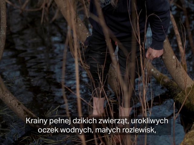 Video Reference: Jeans, Water, Leg, Plant, Branch, Shorts, Wood, Grass, Thigh, Tree