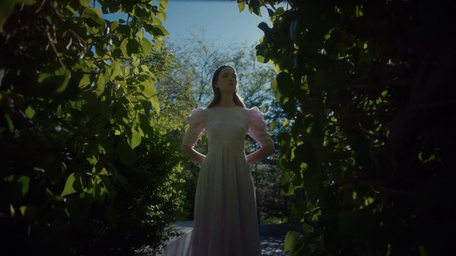 Video Reference: Wedding dress, Plant, Dress, People in nature, Flash photography, Bridal clothing, Wood, Gown, Sky, Tree