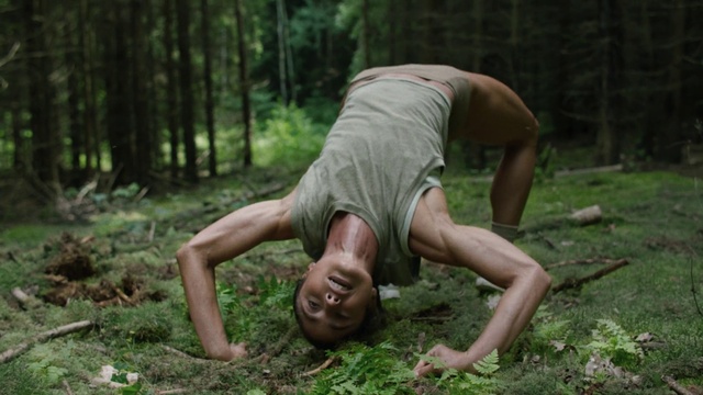 Video Reference: Plant, Shorts, People in nature, Wood, Tree, Terrestrial plant, Elbow, Grass, Chest, Trunk