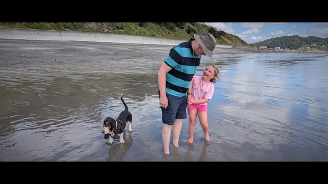 Video Reference: beach, shallow water, man, girl, dog, family, outdoors, shoreline, seawall, hills, casual clothing, summer, reflection, tide, coastal