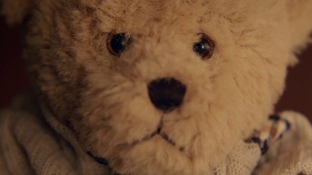 Video Reference: Nose, Toy, Carnivore, Dog breed, Terrestrial animal, Companion dog, Snout, Stuffed toy, Close-up, Working animal