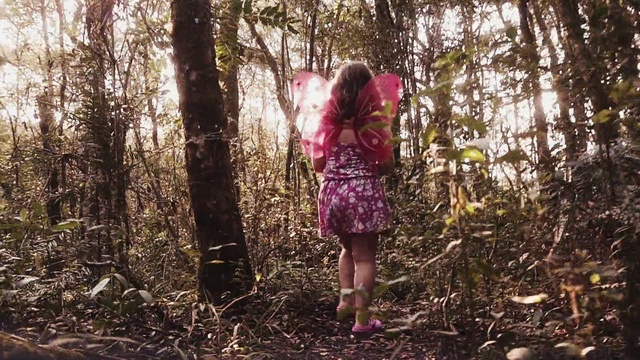 Video Reference: Plant, People in nature, Wood, Tree, Natural landscape, Branch, Trunk, Twig, Grass, Deciduous