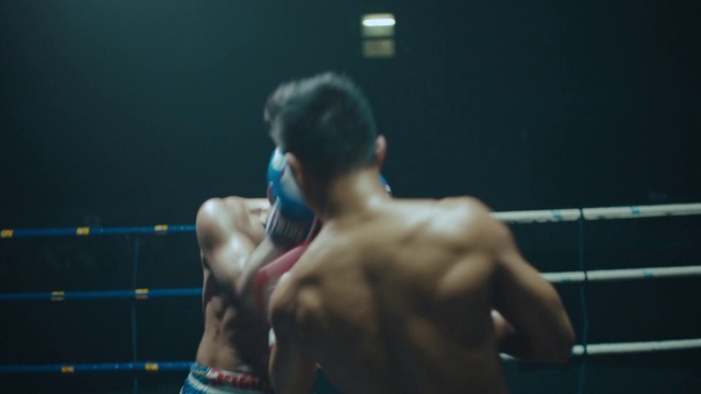 Video Reference: Shorts, Arm, Muscle, Combat sport, Striking combat sports, Strike, Contact sport, Professional boxer, Boxing glove, Boxing equipment