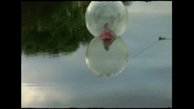 Video Reference: Water, Plant, Window, Sky, Morning, Art, Petal, Tints and shades, Circle, Font